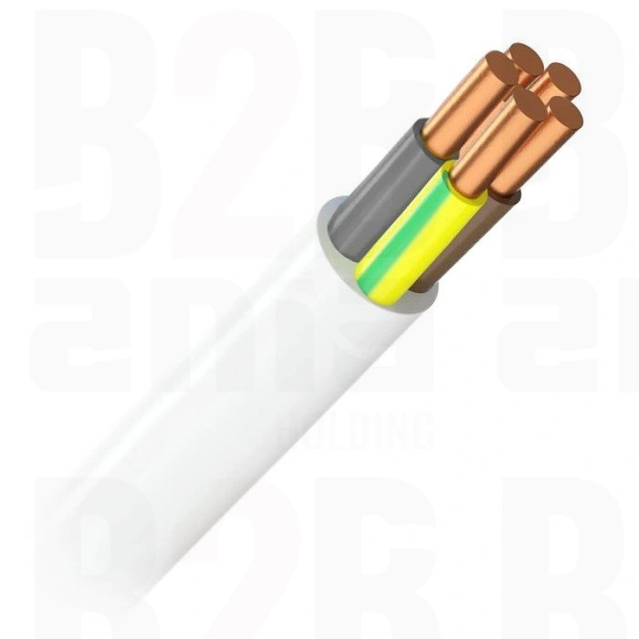 YDYżo 5x6mm2 450/750V