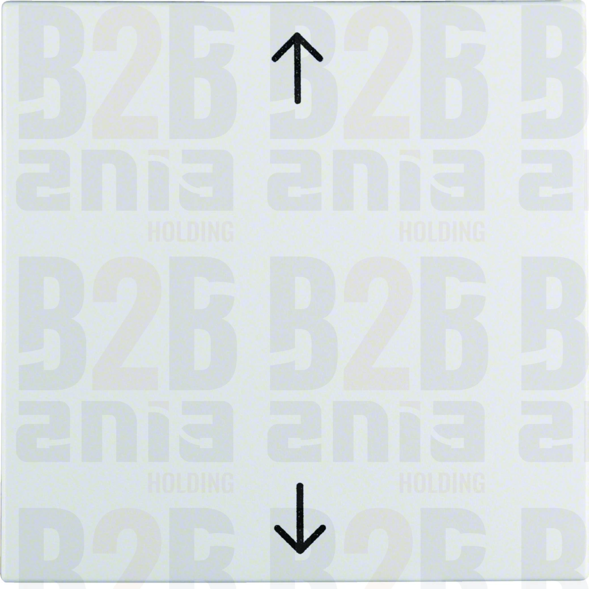 S.1/B.3/B.7 Klawisz nadr. symb. "strzałki" biały